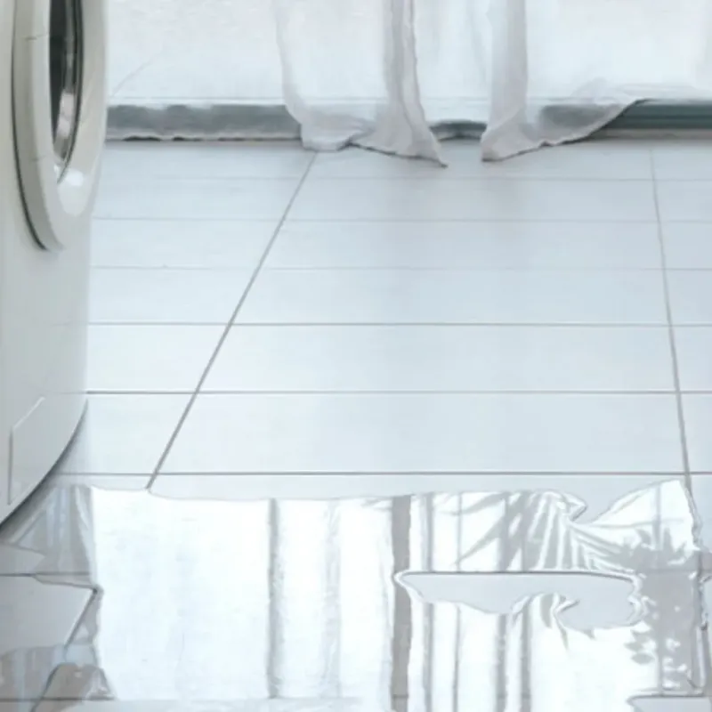Appliance Leak Cleanup in Tichigan, WI