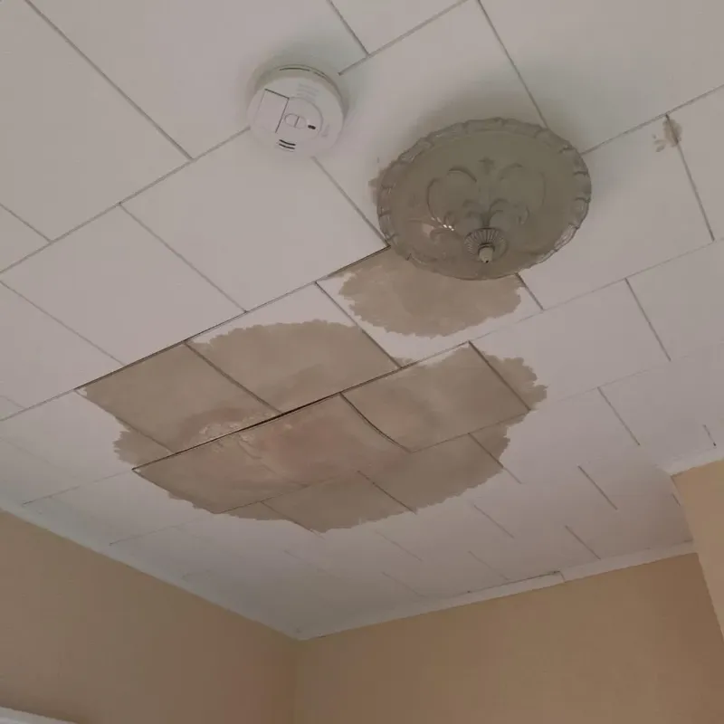 Ceiling Water Damage Repair in Tichigan, WI