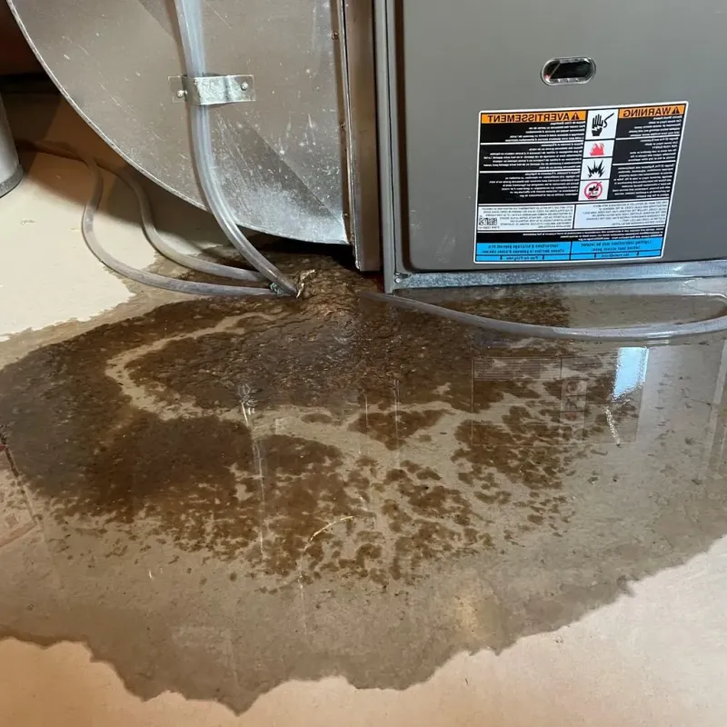 Pipe Burst and Leak Restoration in Tichigan, WI