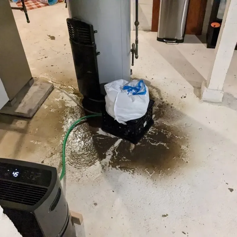 Sewage Backup Cleanup Service in Tichigan, WI